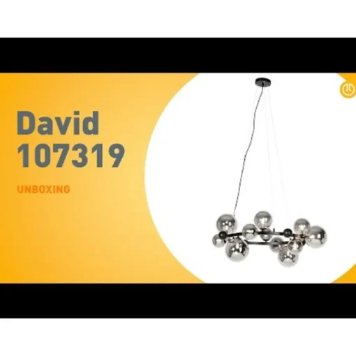 QAZQA Art Deco hanglamp zwart met smoke glas 12-lichts - David