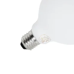 LUEDD E27 dimbare LED lamp G95 mat 4W 430 lm 2200-4000K