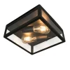 QAZQA Industriële buiten plafondlamp zwart 2-lichts - Rotterdam