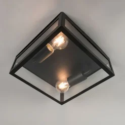 QAZQA Industriële buiten plafondlamp zwart 2-lichts - Rotterdam