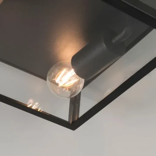 QAZQA Industriële buiten plafondlamp zwart 2-lichts - Rotterdam