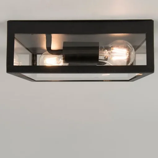 QAZQA Industriële buiten plafondlamp zwart 2-lichts - Rotterdam
