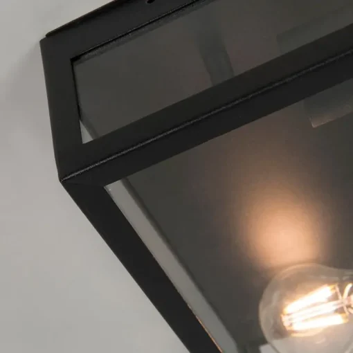 QAZQA Industriële buiten plafondlamp zwart 2-lichts - Rotterdam
