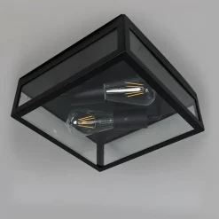 QAZQA Industriële buiten plafondlamp zwart 2-lichts - Rotterdam
