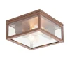 QAZQA Industriële plafondlamp roestbruin IP44 2-lichts - Charlois