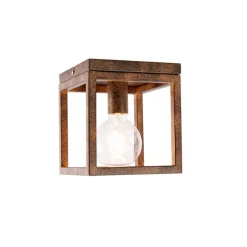 QAZQA Industriële plafondlamp roestbruin - Cage