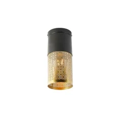 QAZQA Industriële plafondlamp zwart met goud - Raspi