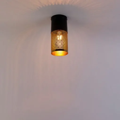 QAZQA Industriële plafondlamp zwart met goud - Raspi