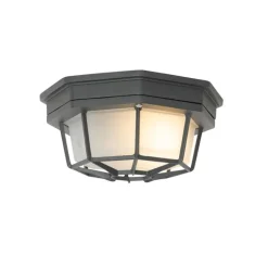 QAZQA Landelijke plafondlamp donkergrijs 21,3 cm IP44 - Bri
