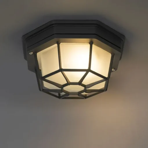 QAZQA Landelijke plafondlamp donkergrijs 21,3 cm IP44 - Bri