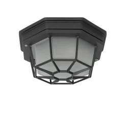 QAZQA Landelijke plafondlamp donkergrijs 21,3 cm IP44 - Bri