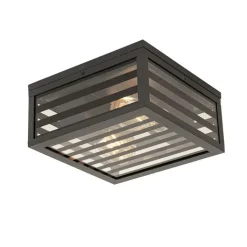 QAZQA Moderne buiten plafondlamp zwart glas 2-lichts IP44 - Reims
