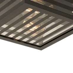 QAZQA Moderne buiten plafondlamp zwart glas 2-lichts IP44 - Reims
