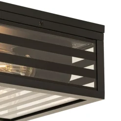 QAZQA Moderne buiten plafondlamp zwart glas 2-lichts IP44 - Reims