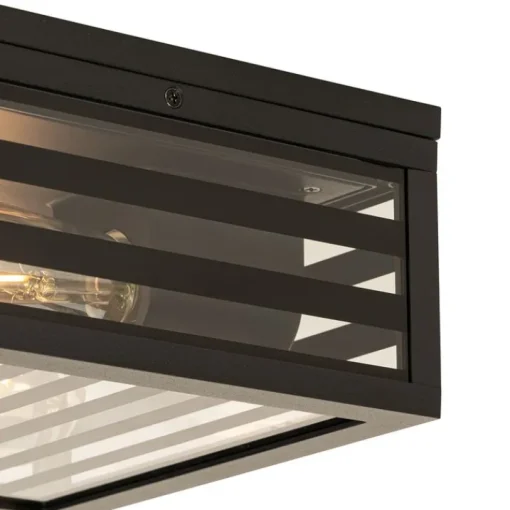 QAZQA Moderne buiten plafondlamp zwart glas 2-lichts IP44 - Reims