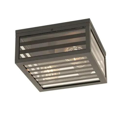 QAZQA Moderne buiten plafondlamp zwart glas 2-lichts IP44 - Reims