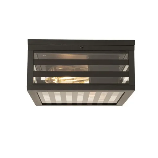 QAZQA Moderne buiten plafondlamp zwart glas 2-lichts IP44 - Reims