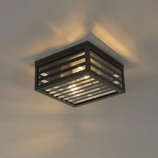 QAZQA Moderne buiten plafondlamp zwart glas 2-lichts IP44 - Reims