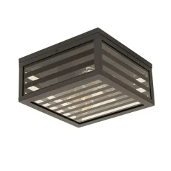 QAZQA Moderne buiten plafondlamp zwart glas 2-lichts IP44 - Reims
