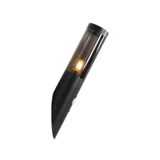 QAZQA Moderne buiten wandlamp zwart met bewegingssensor IP44 - Rox