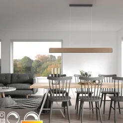 Paul Neuhaus Moderne hanglamp hout incl. LED dimbaar met afstandsbediening - Ajdin