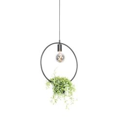 QAZQA Moderne hanglamp zwart met glas rond - Roslini