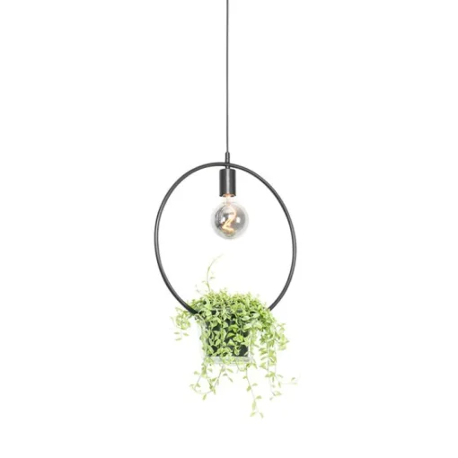 QAZQA Moderne hanglamp zwart met glas rond - Roslini