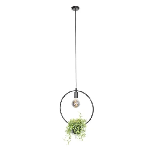 QAZQA Moderne hanglamp zwart met glas rond - Roslini