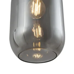 QAZQA Moderne hanglamp zwart met smoke glas 5-lichts - Sheena