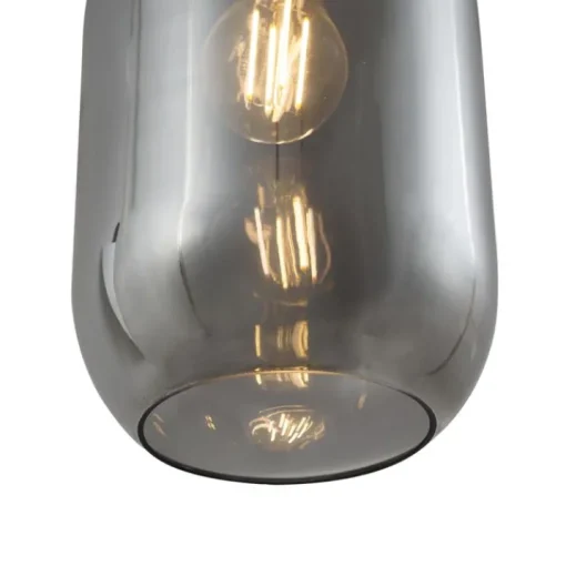 QAZQA Moderne hanglamp zwart met smoke glas 5-lichts - Sheena