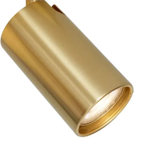 QAZQA Moderne plafondlamp messing 2-lichts kantelbaar - Lesly
