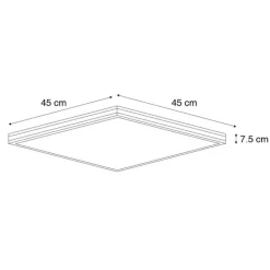 Paul Neuhaus Plafondlamp zwart vierkant incl. LED RGBW met afstandsbediening - Trafalgar