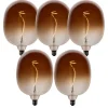 LUEDD Set van 5 E27 dimbare LED lampen G170 bruin 4,9W 130 lm 1800K