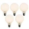 LUEDD Set van 5 E27 dimbare LED lamp opaal G95 5W 450 lm 2700K
