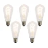 LUEDD Set van 5 E27 LED lampen spiraal filament ST64 5W 400 lm 2200K