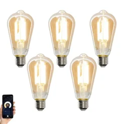 LUEDD Set van 5 Smart E27 LED lamp ST64 goud 7W 700 lm 1800-4000K