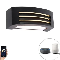 QAZQA Smart buiten wandlamp zwart IP44 incl. Wifi A60 - Hurricane
