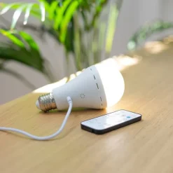 Newgarden Smart E27 dimbare LED lamp A60 mat 3.5W 350 lm 3000-6500K oplaadbaar met afstandsbediening  