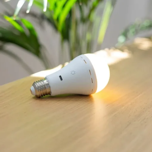 Newgarden Smart E27 dimbare LED lamp A60 mat 3.5W 350 lm 3000-6500K oplaadbaar met afstandsbediening  
