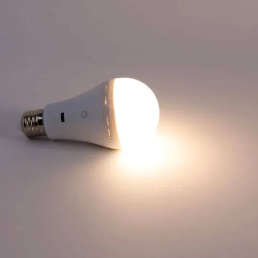 Newgarden Smart E27 dimbare LED lamp A60 mat 3.5W 350 lm 3000-6500K oplaadbaar met afstandsbediening  