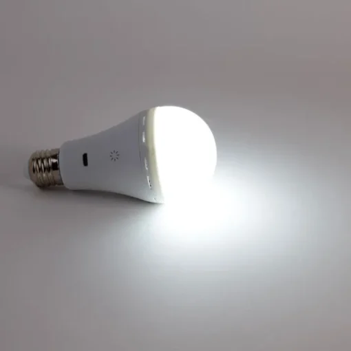 Newgarden Smart E27 dimbare LED lamp A60 mat 3.5W 350 lm 3000-6500K oplaadbaar met afstandsbediening  