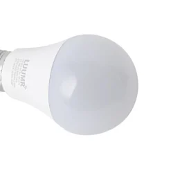 LUUMR Smart E27 LED lamp A60 mat RGBW 9W 806 lm 2700-6500K