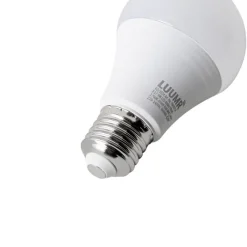 LUUMR Smart E27 LED lamp A60 mat RGBW 9W 806 lm 2700-6500K