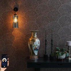 QAZQA Smart wandlamp zwart met smoke glas incl. Wifi ST64 - Laura