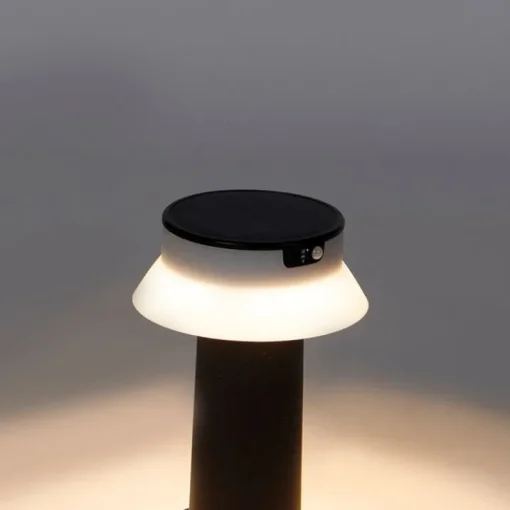 QAZQA Staande buitenlamp zwart incl. LED met dimmer IP55 solar - Felice