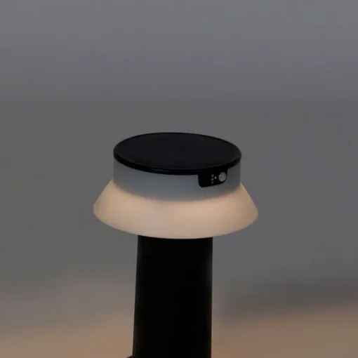 QAZQA Staande buitenlamp zwart incl. LED met dimmer IP55 solar - Felice
