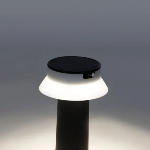 QAZQA Staande buitenlamp zwart incl. LED met dimmer IP55 solar - Felice