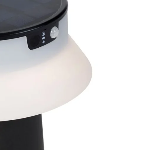 QAZQA Staande buitenlamp zwart incl. LED met dimmer IP55 solar - Felice