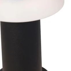 QAZQA Staande buitenlamp zwart incl. LED met dimmer IP55 solar - Felice