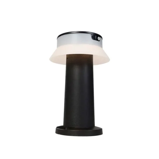 QAZQA Staande buitenlamp zwart incl. LED met dimmer IP55 solar - Felice
